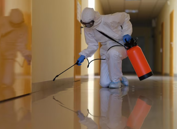 Cold Weather, Warm Homes: Why Winter Is a Prime Time for Pest Problems